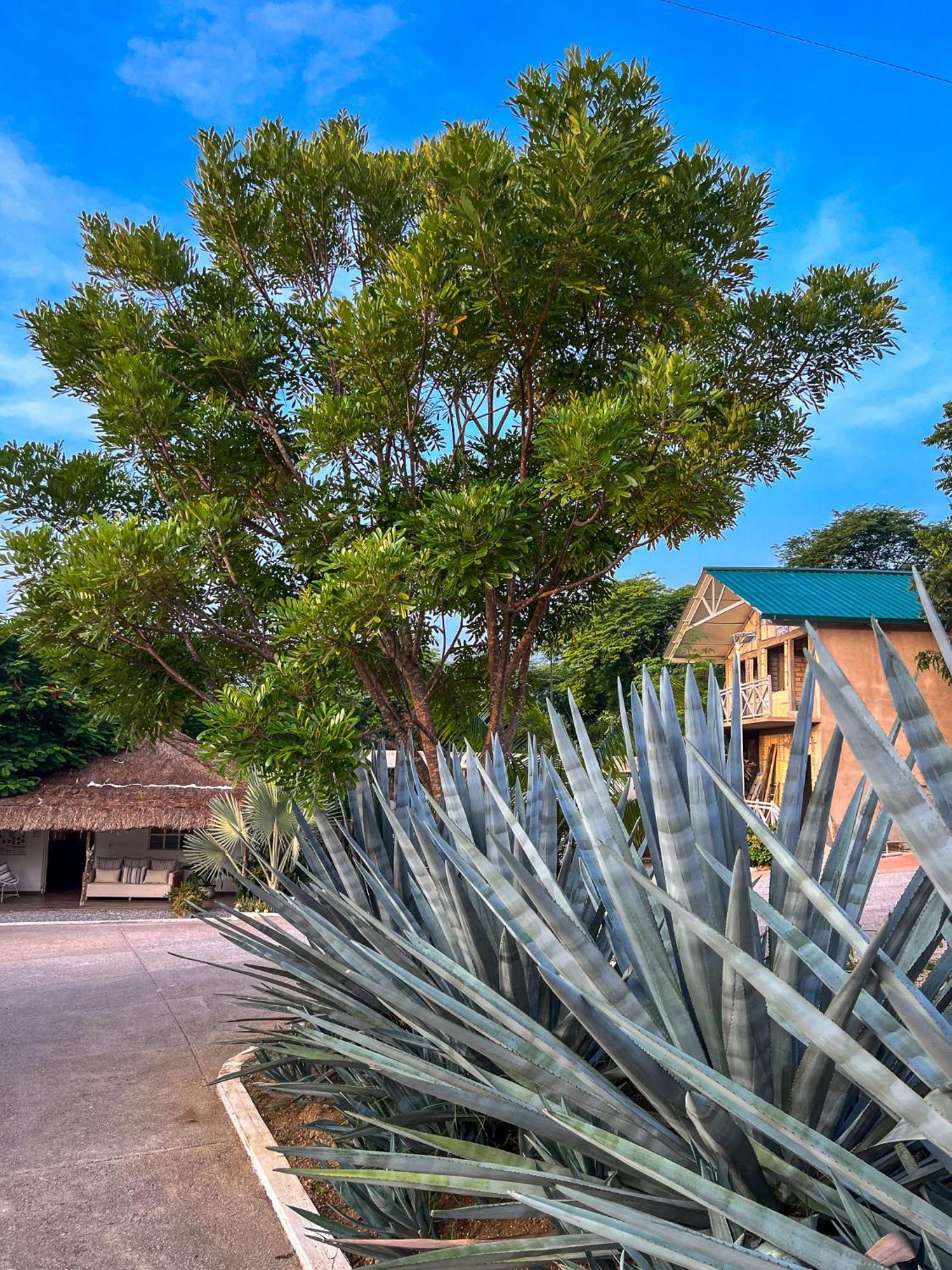 חלפן Villas El Encanto מראה חיצוני תמונה